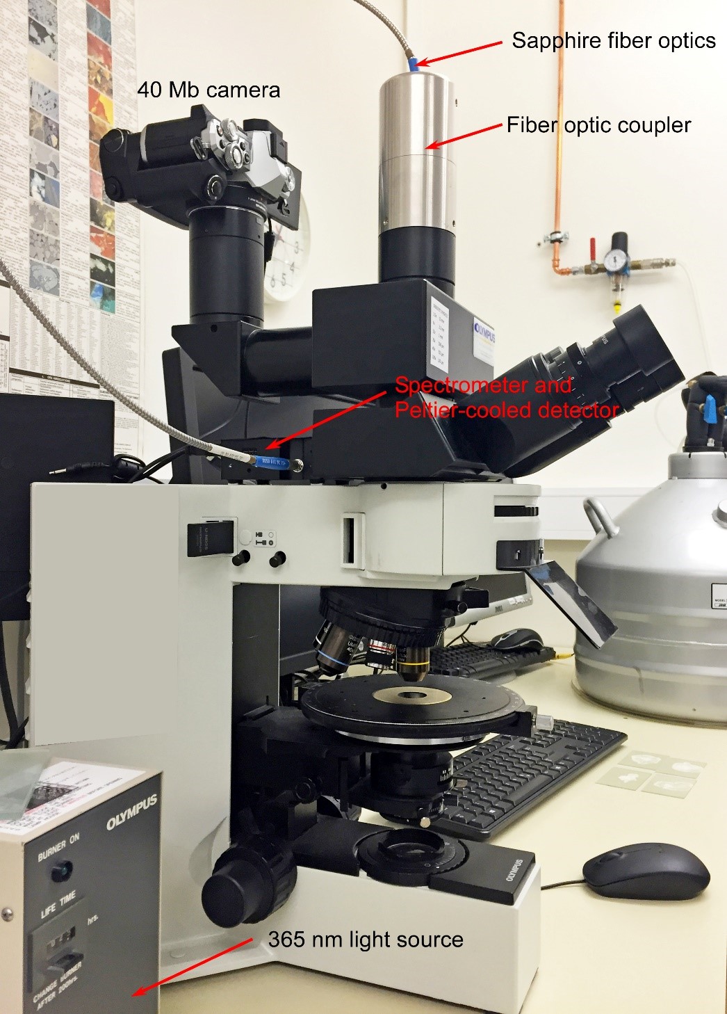 Optical Microscopy at IFE - IFE